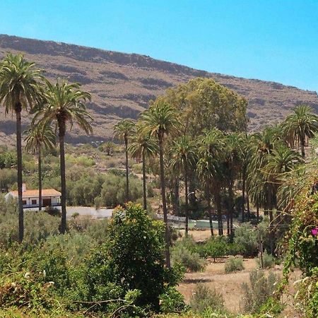 Casa Rural El Olivar La Molienda Santa Lucia Buitenkant foto