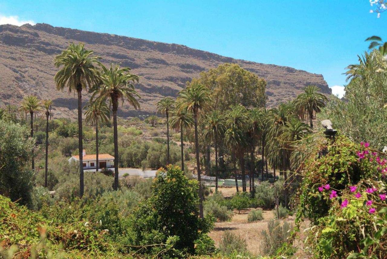 Casa Rural El Olivar La Molienda Santa Lucia Buitenkant foto
