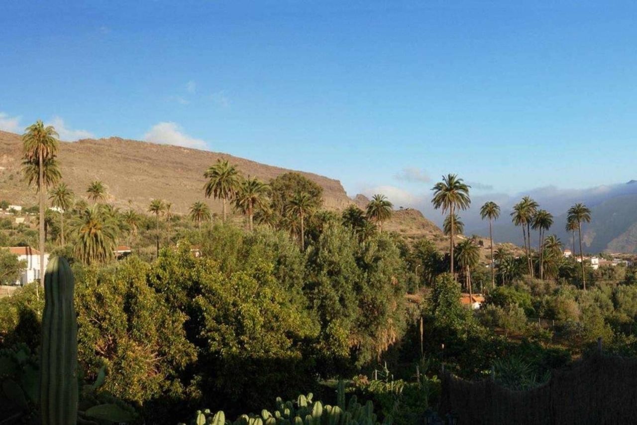 Casa Rural El Olivar La Molienda Santa Lucia Buitenkant foto